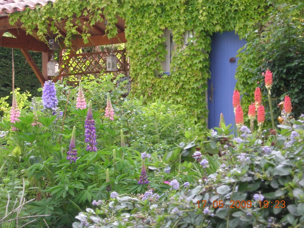 Bed and Breakfast Le Colombier Вильнёв-сюр-Ло Экстерьер фото